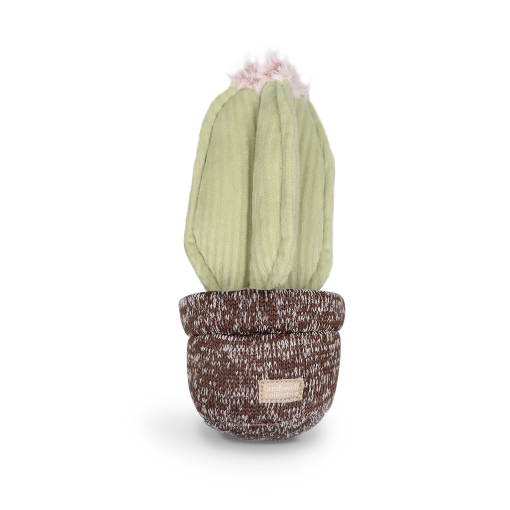 CACTUS // ENRICHMENT DOG TOY // Squeaky + DECO Toy