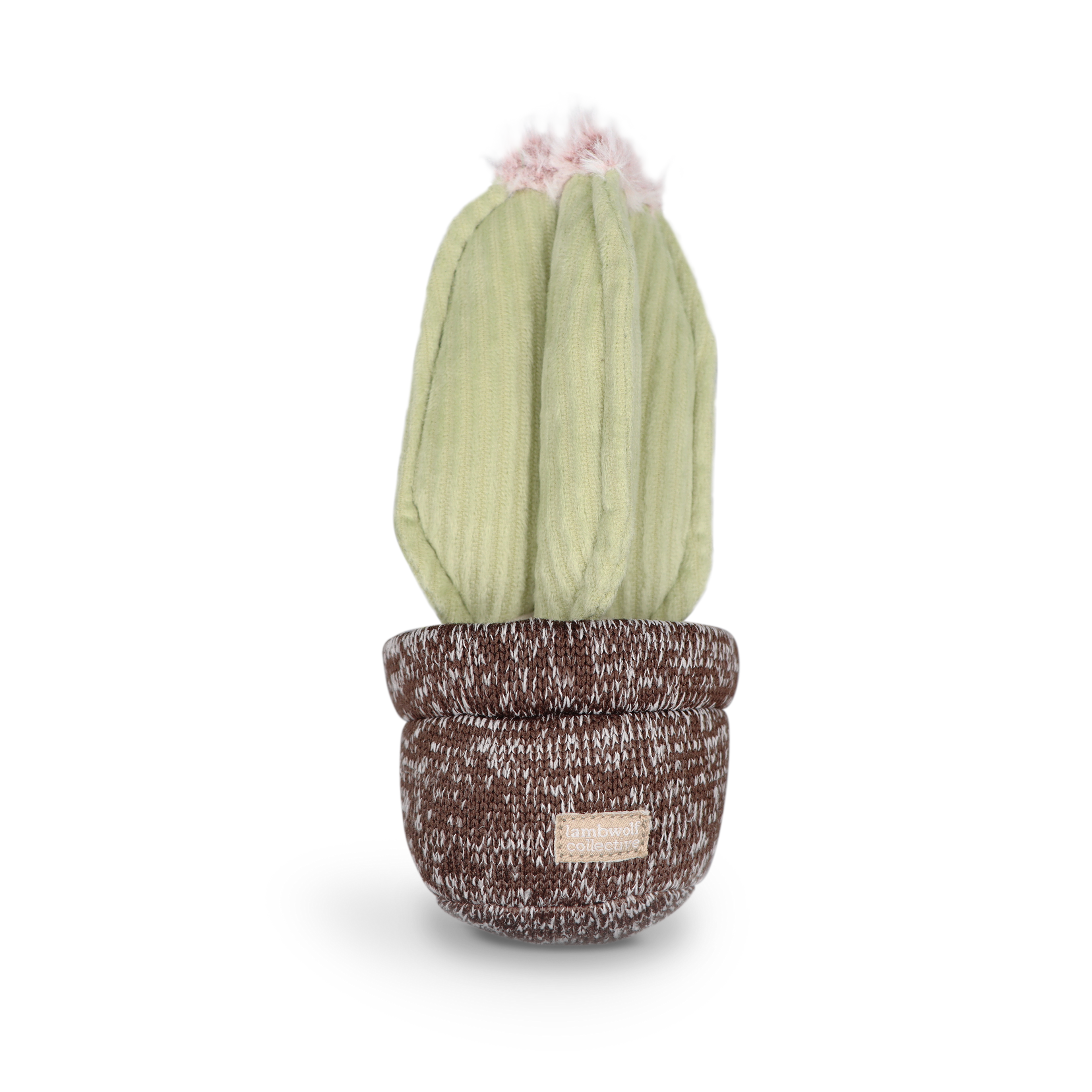 CACTUS // ENRICHMENT DOG TOY // Squeaky + DECO Toy
