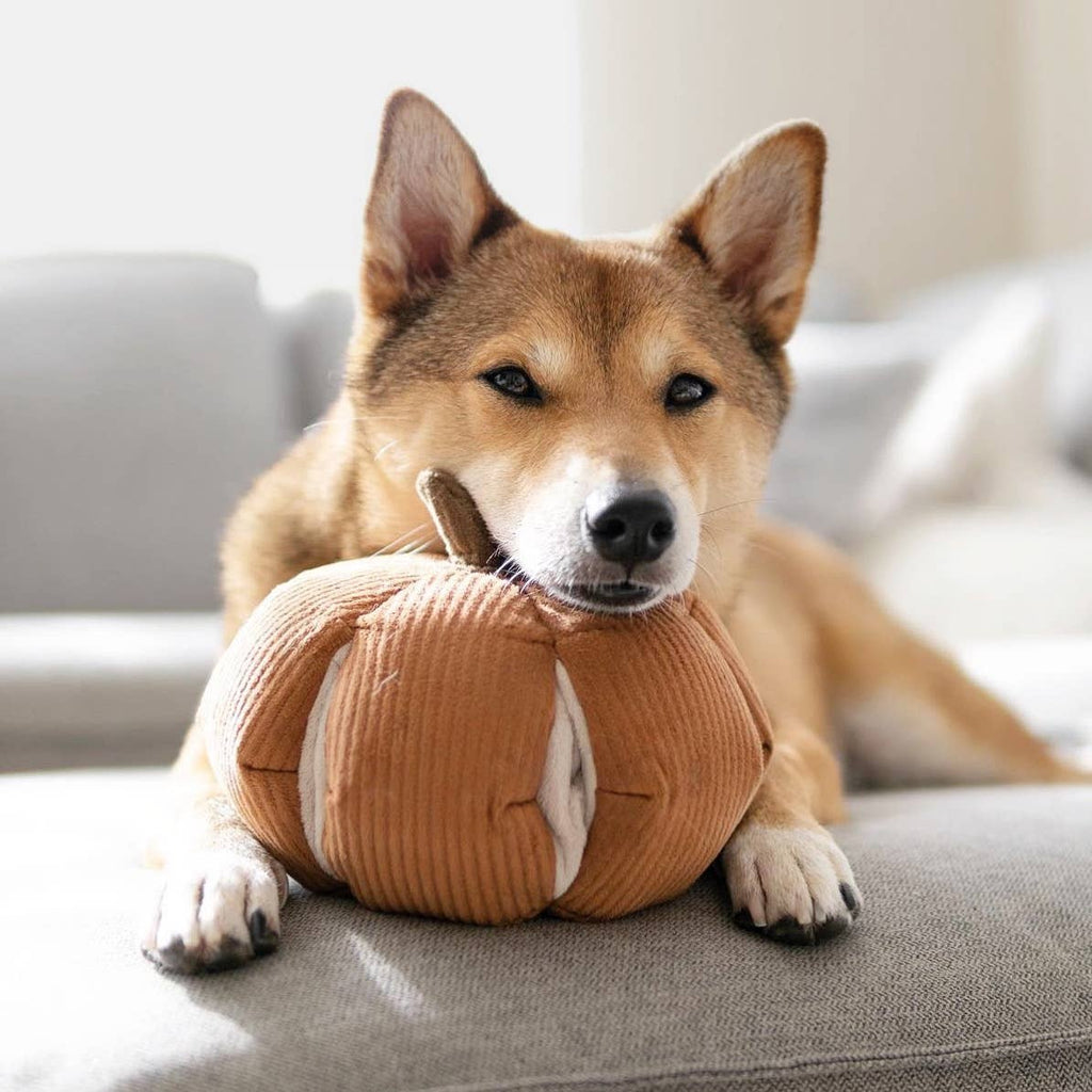 CINDERELLA // ENRICHMENT DOG TOY // SNUFFLE TOY