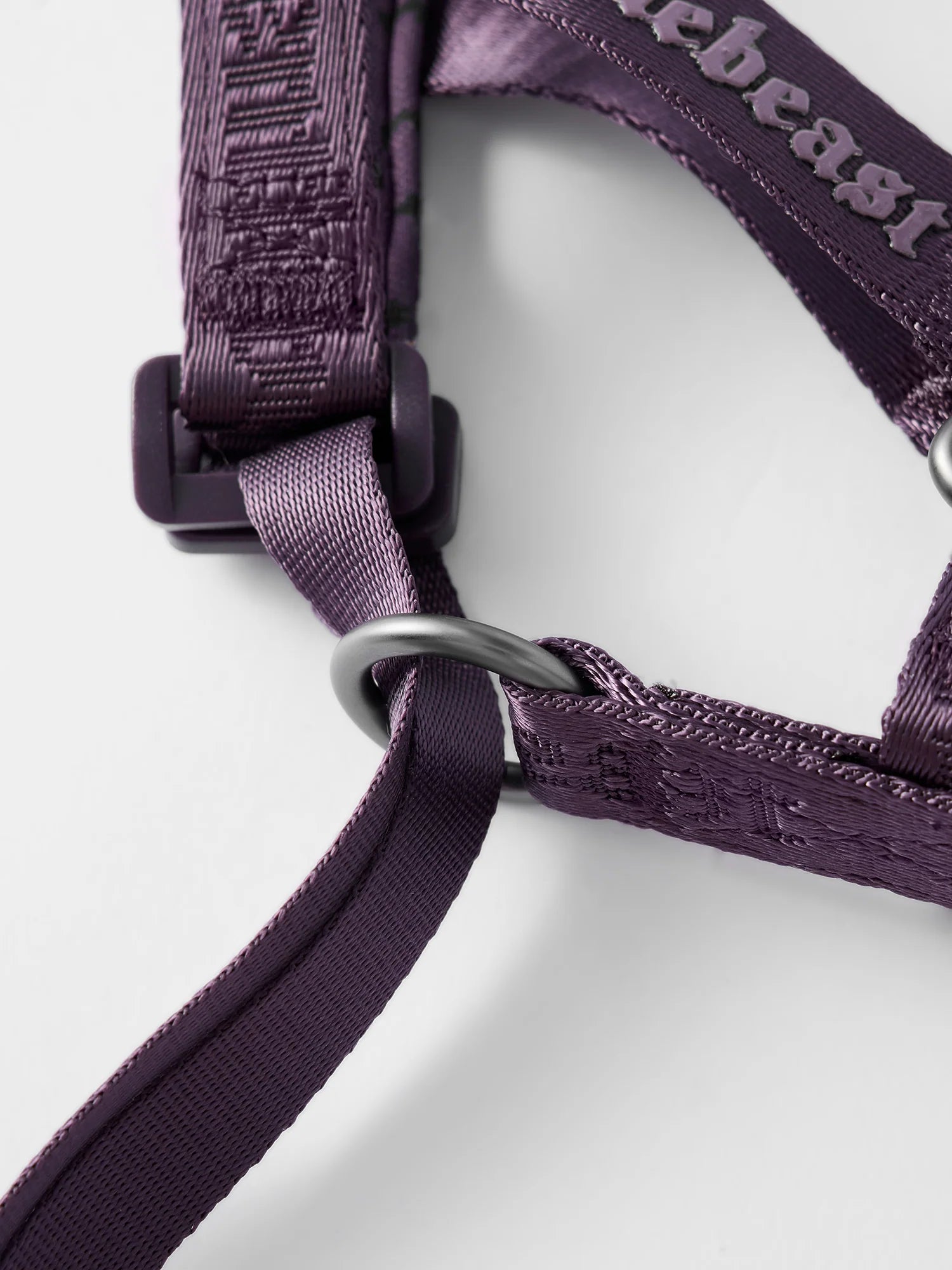 MIDNIGHT WALKER | HEAD COLLAR