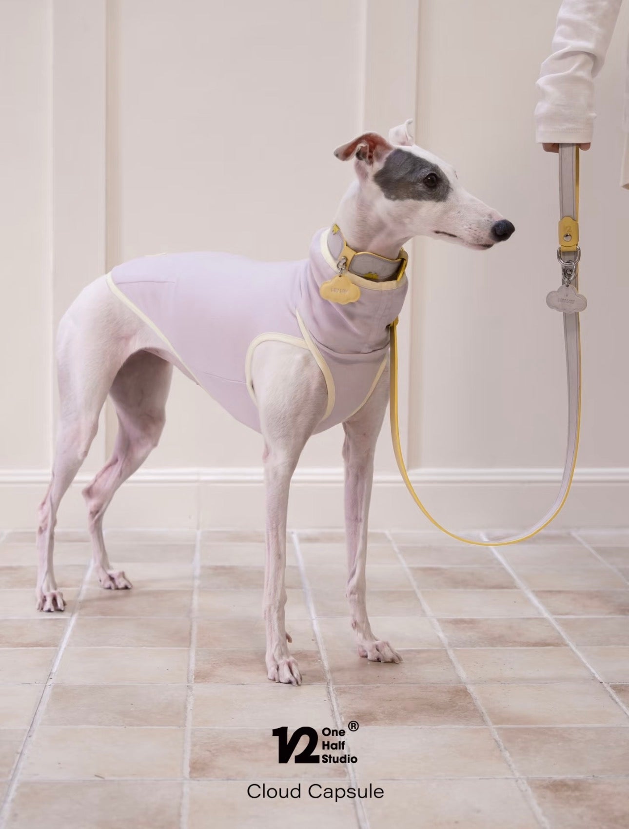 NUVO Walking Set | Personalised Collar & Leash