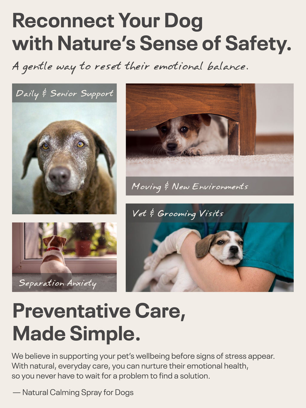 Natural Calming Spray for DOGS