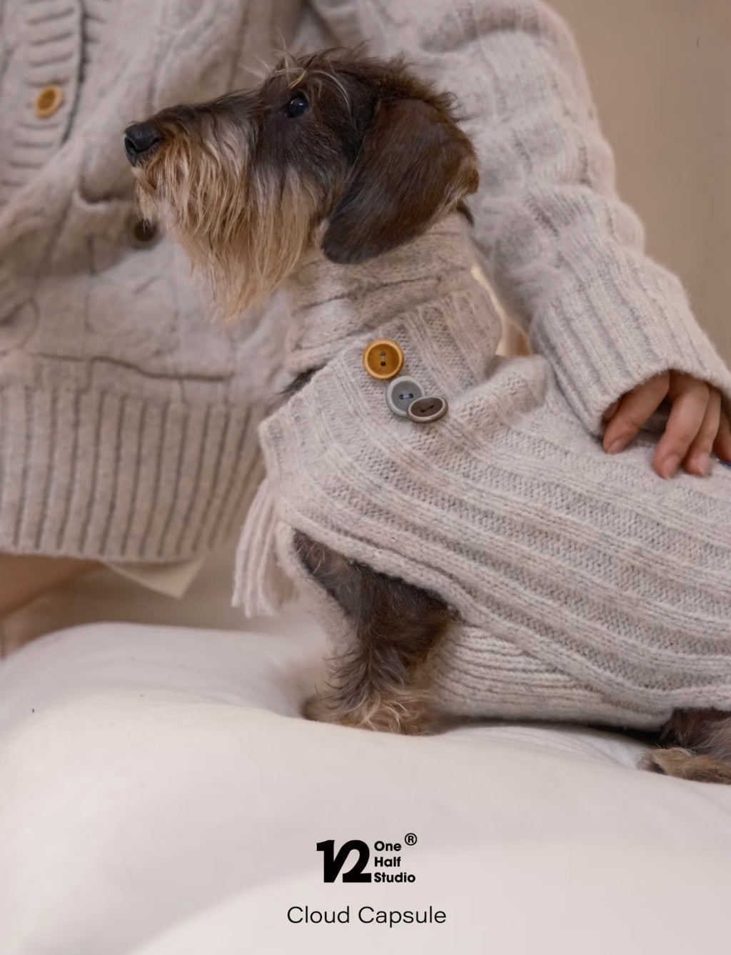 THE CLOUD KNIT | VEST