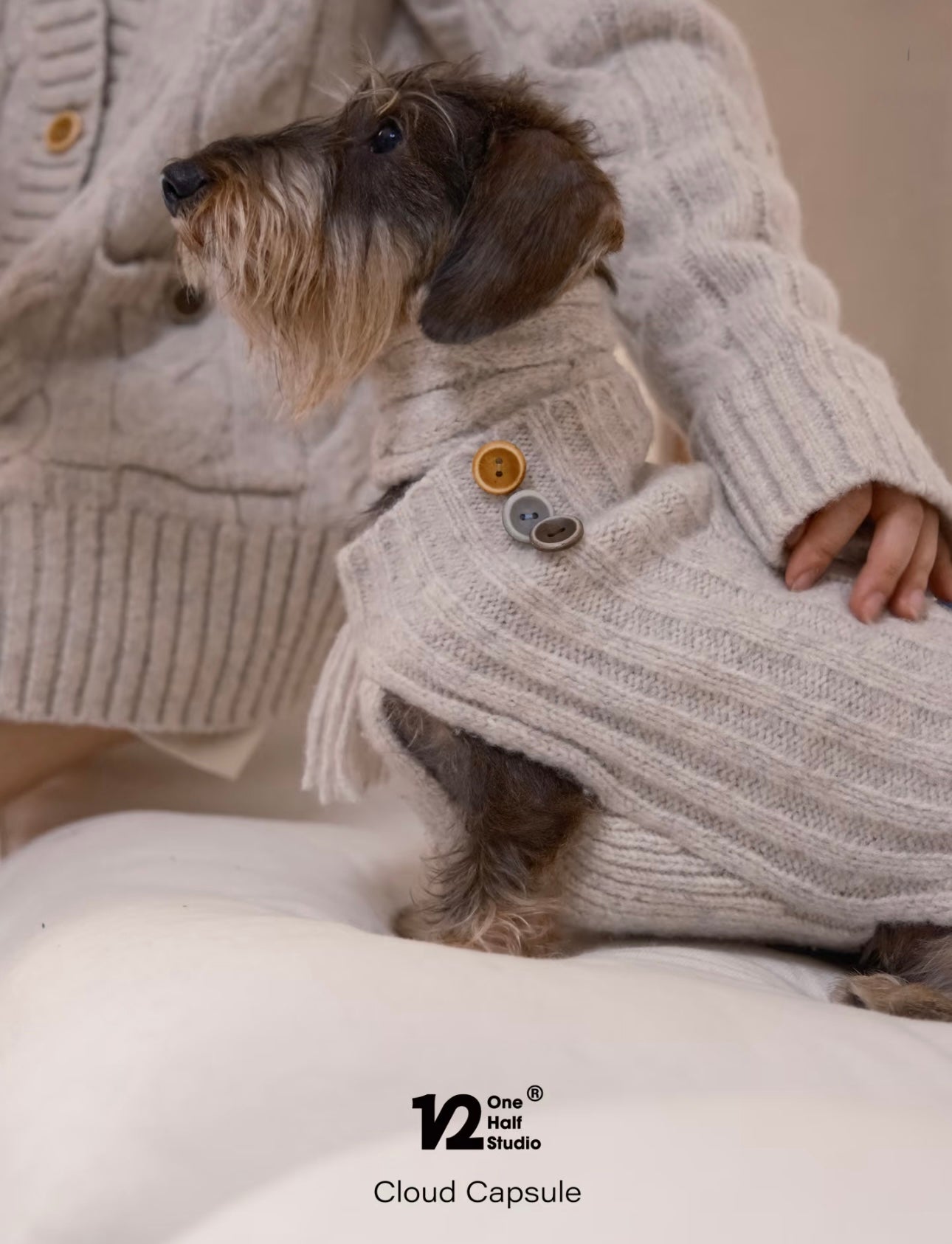 THE CLOUD KNIT | VEST