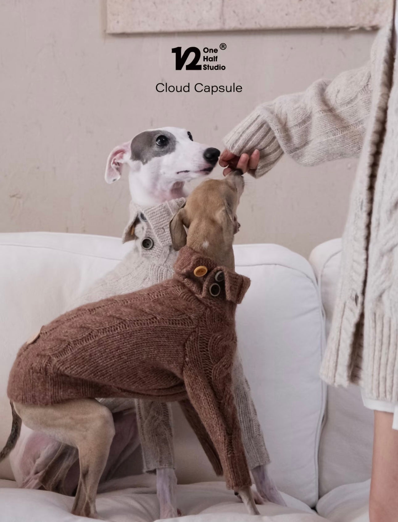 THE CLOUD KNIT | JUMPER