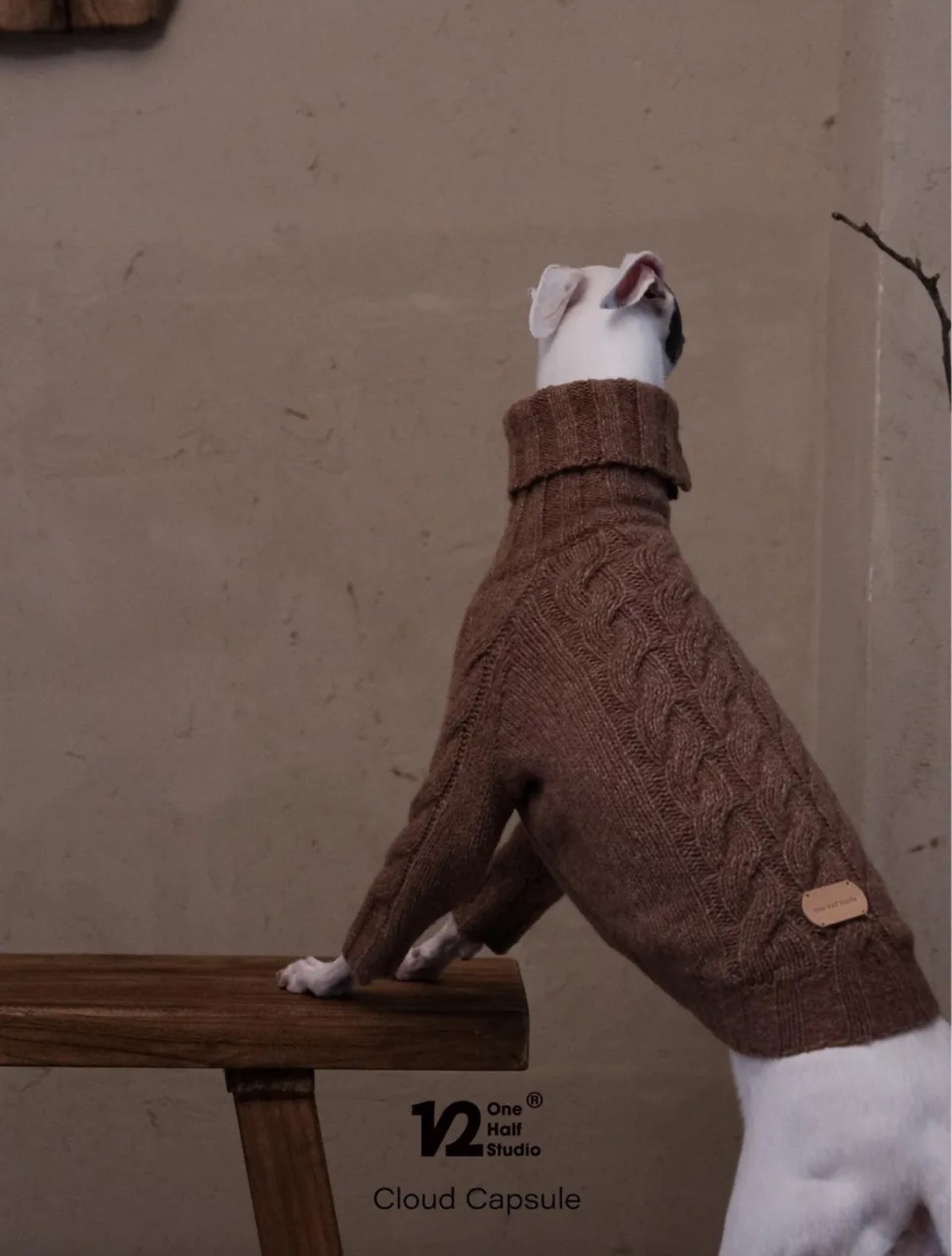 THE CLOUD KNIT | JUMPER