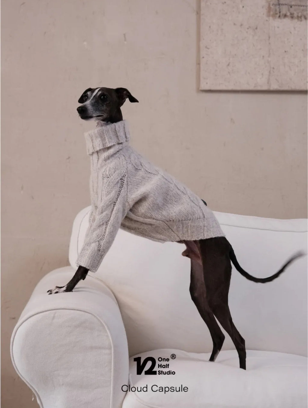 THE CLOUD KNIT | TURTLENECK