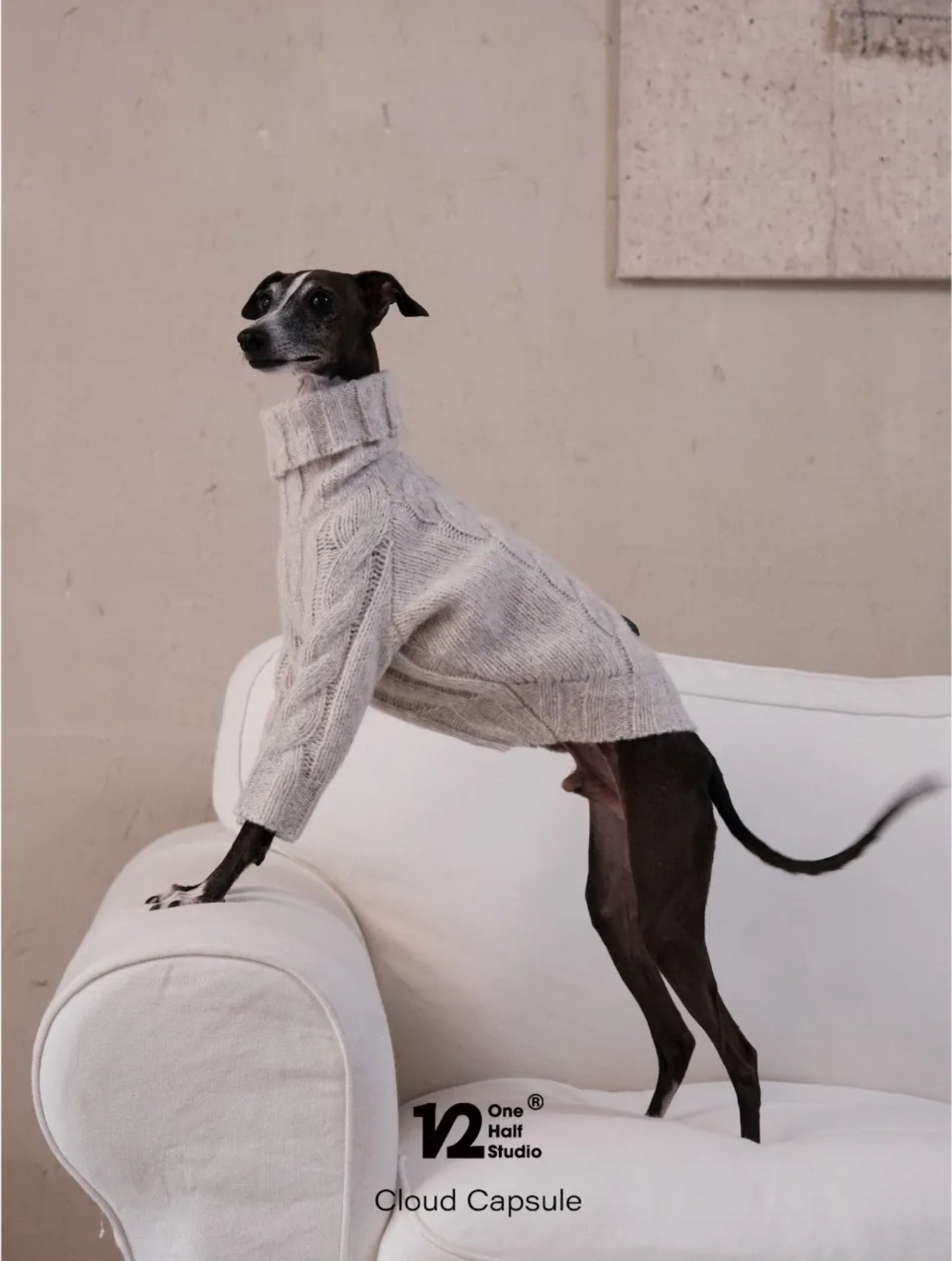 THE CLOUD KNIT | JUMPER