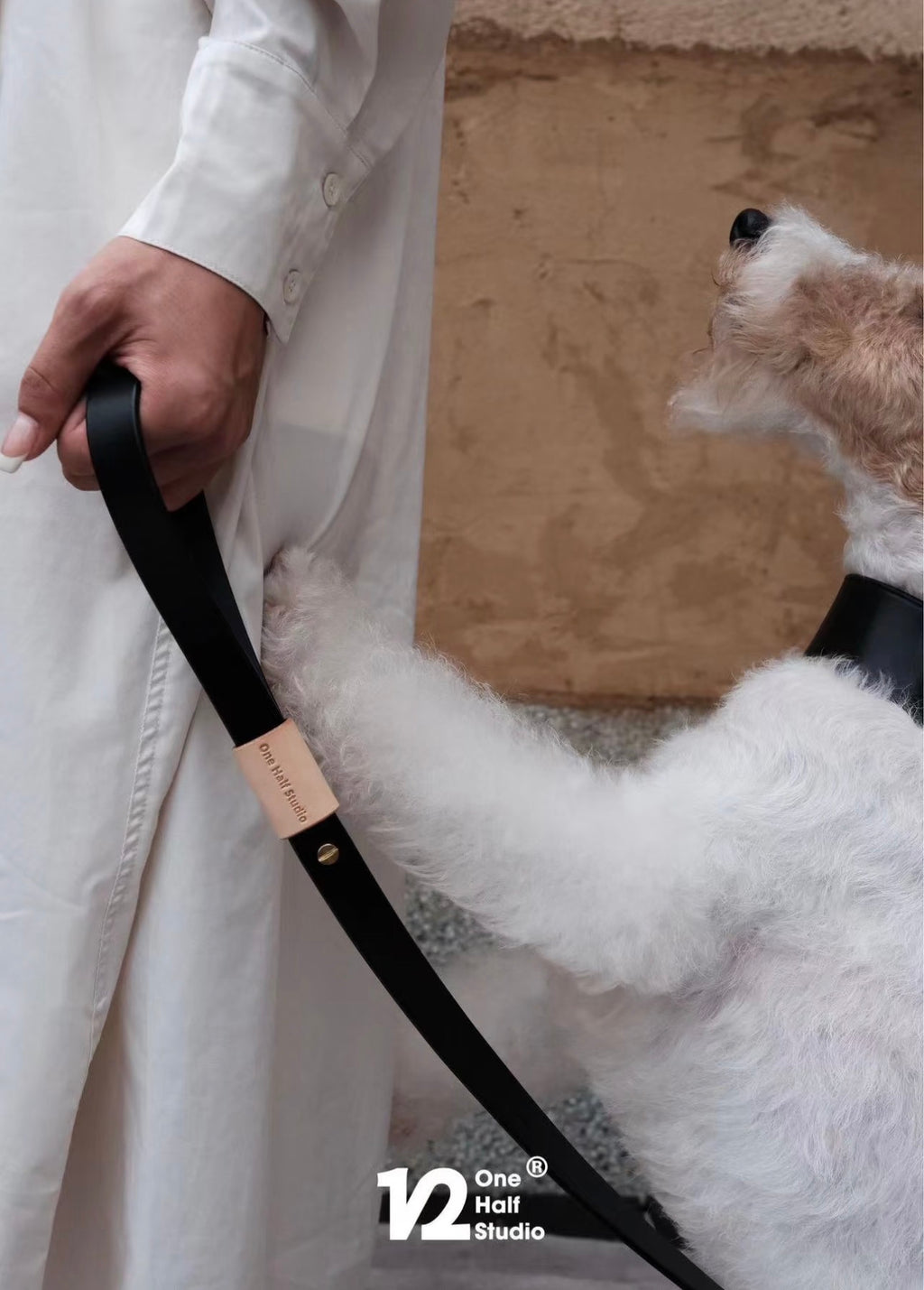 SPLITZ WALKING SET | PELUCHE | Handcrafted Premium Leather Collar + Leash + Waste Bag Holder