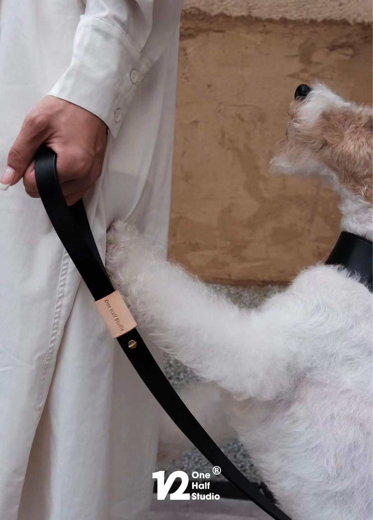 SPLITZ WALKING SET | PELUCHE | Handcrafted Premium Leather Collar + Leash