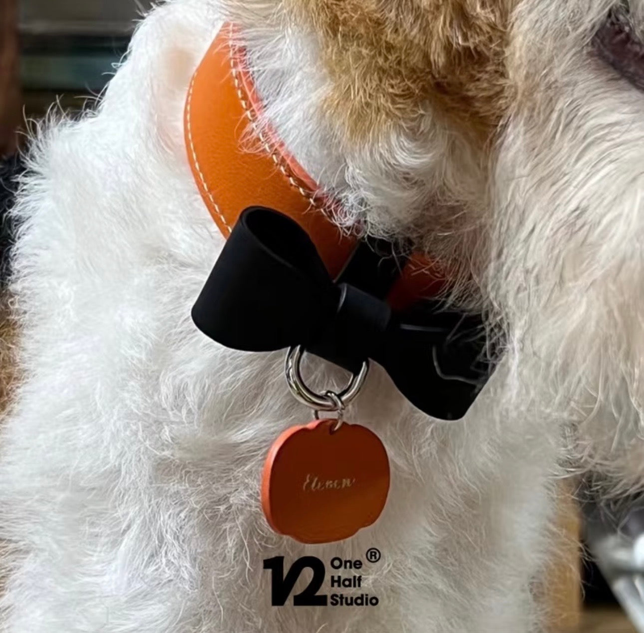 PUMPKIN | limited edition