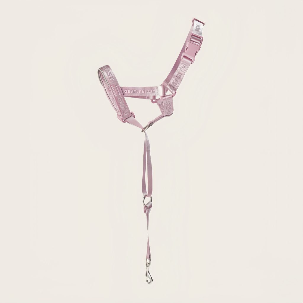 DAY-LIGHT | HEAD COLLAR