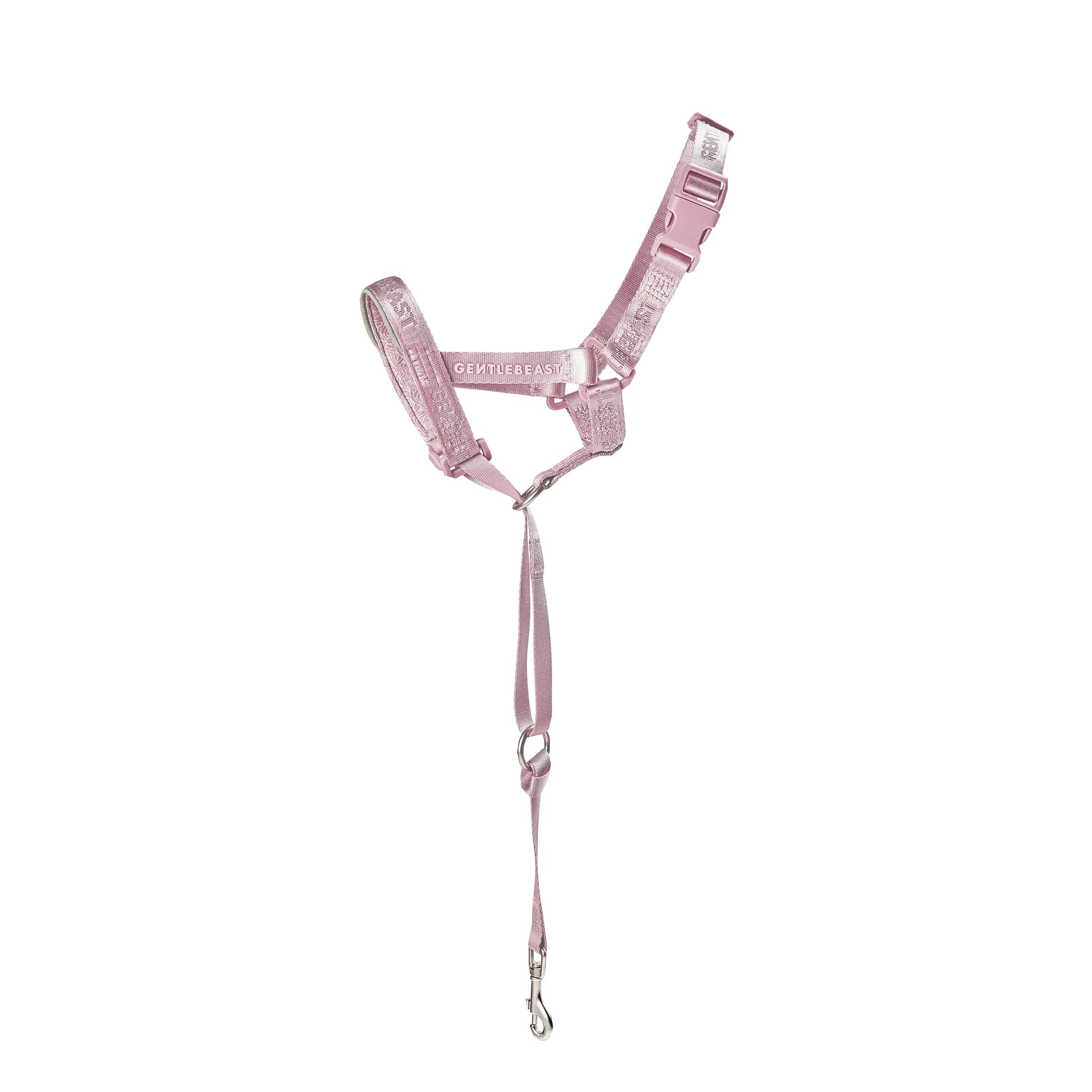 DAY-LIGHT | HEAD COLLAR