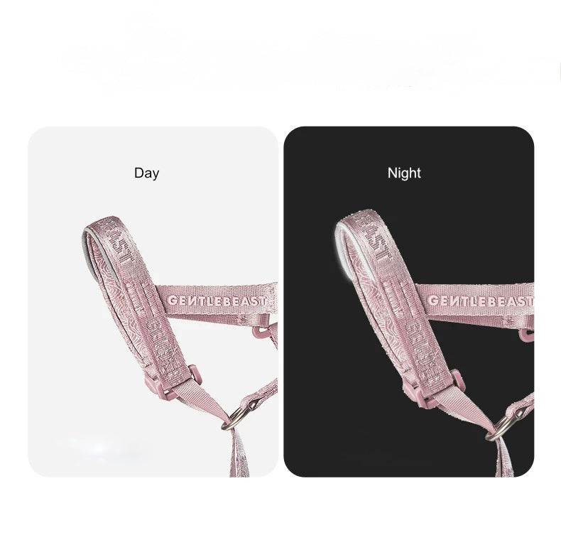 DAY-LIGHT | HEAD COLLAR