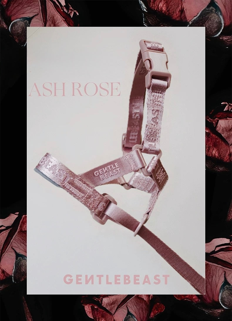 DAY-LIGHT | HEAD COLLAR