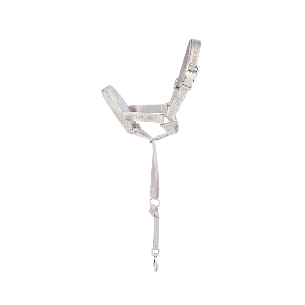 MIDNIGHT WALKER | HEAD COLLAR