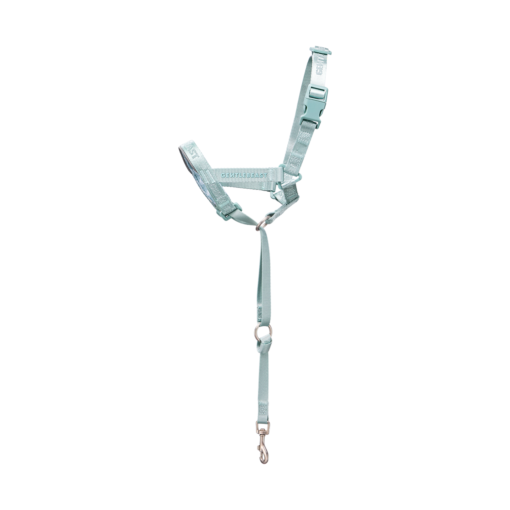 DAY-LIGHT | HEAD COLLAR