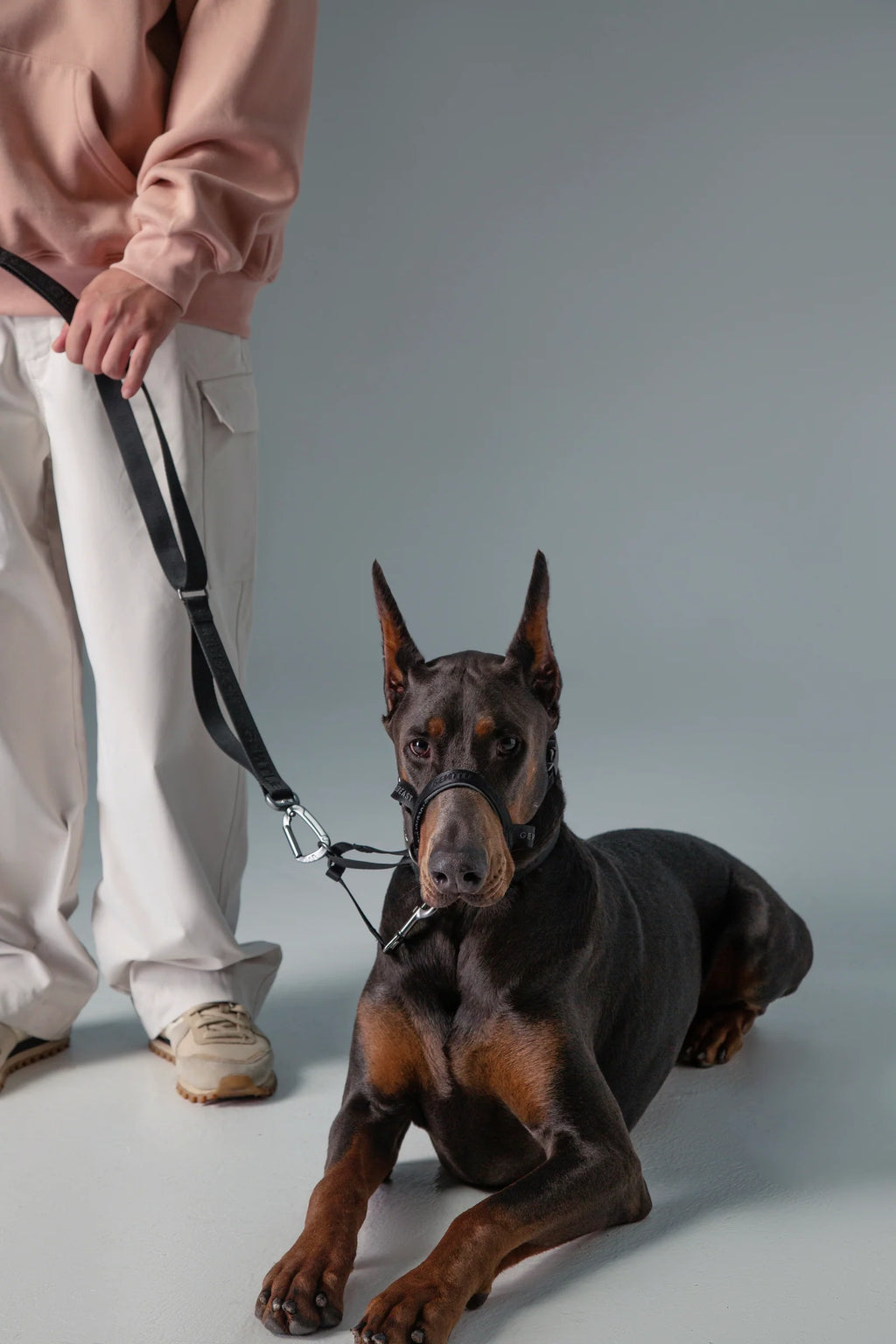 MIDNIGHT WALKER| LEASH