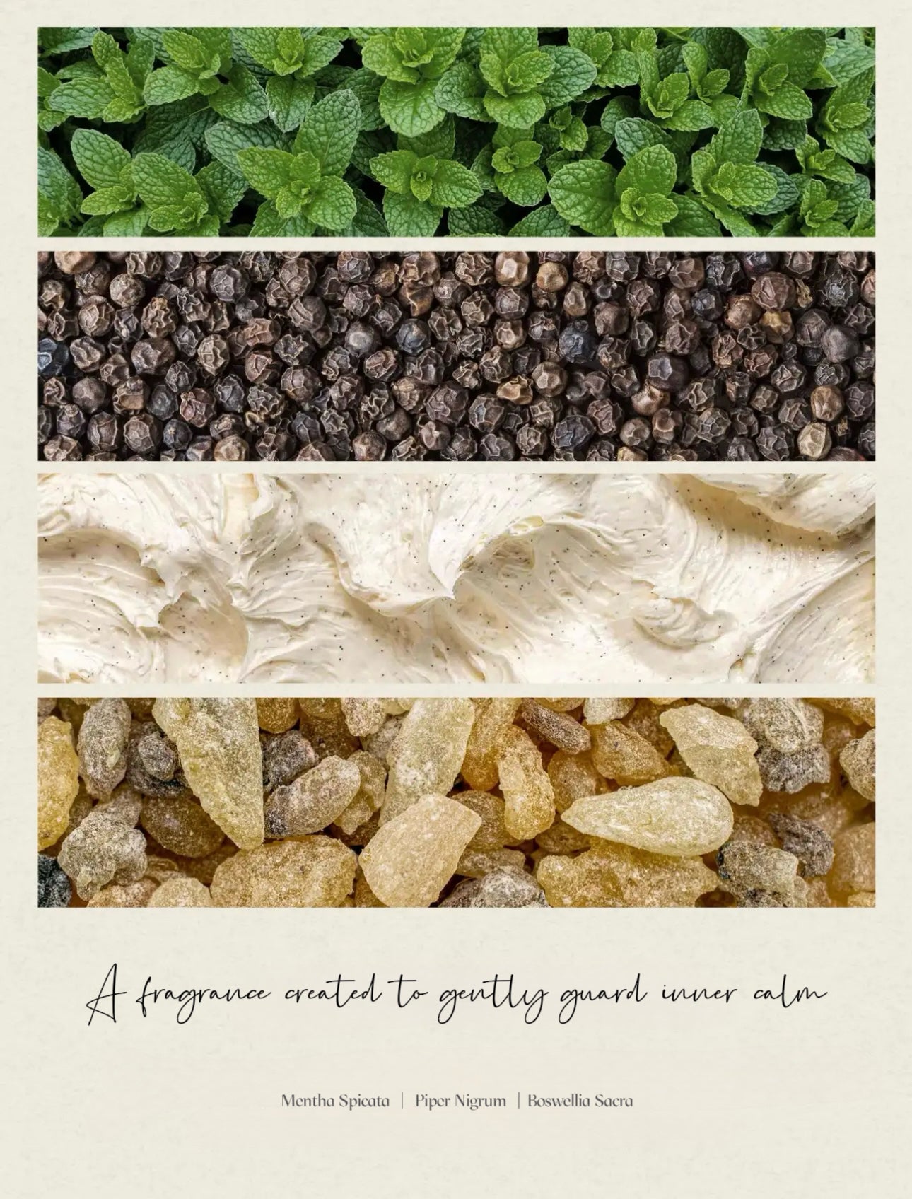 Pet-Friendly Aroma Reed Diffuser | Nutshell & Honey Spice
