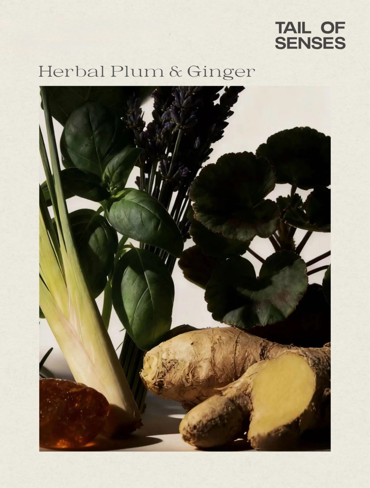 Pet-Friendly Aroma Reed Diffuser | Herbal Plum & Ginger