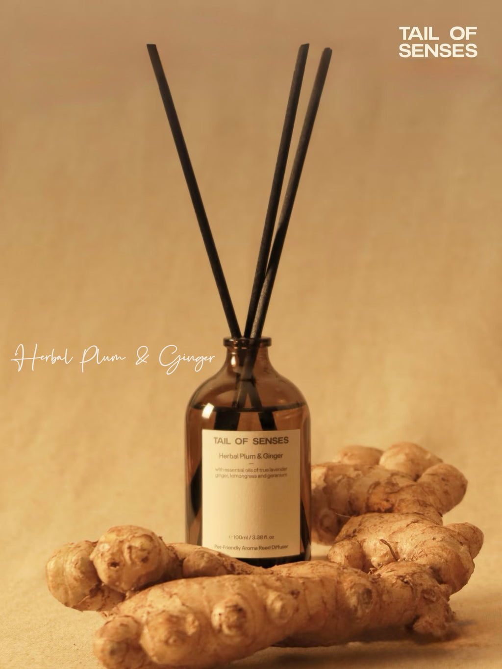 Pet-Friendly Aroma Reed Diffuser | Herbal Plum & Ginger