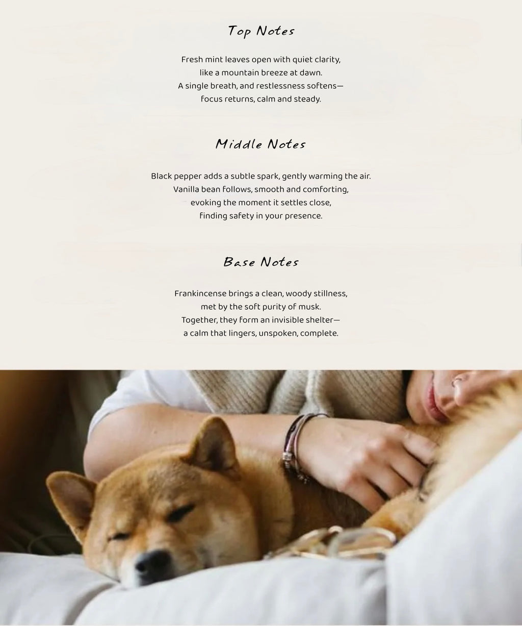 Pet-Friendly Aroma Reed Diffuser | Nutshell & Honey Spice