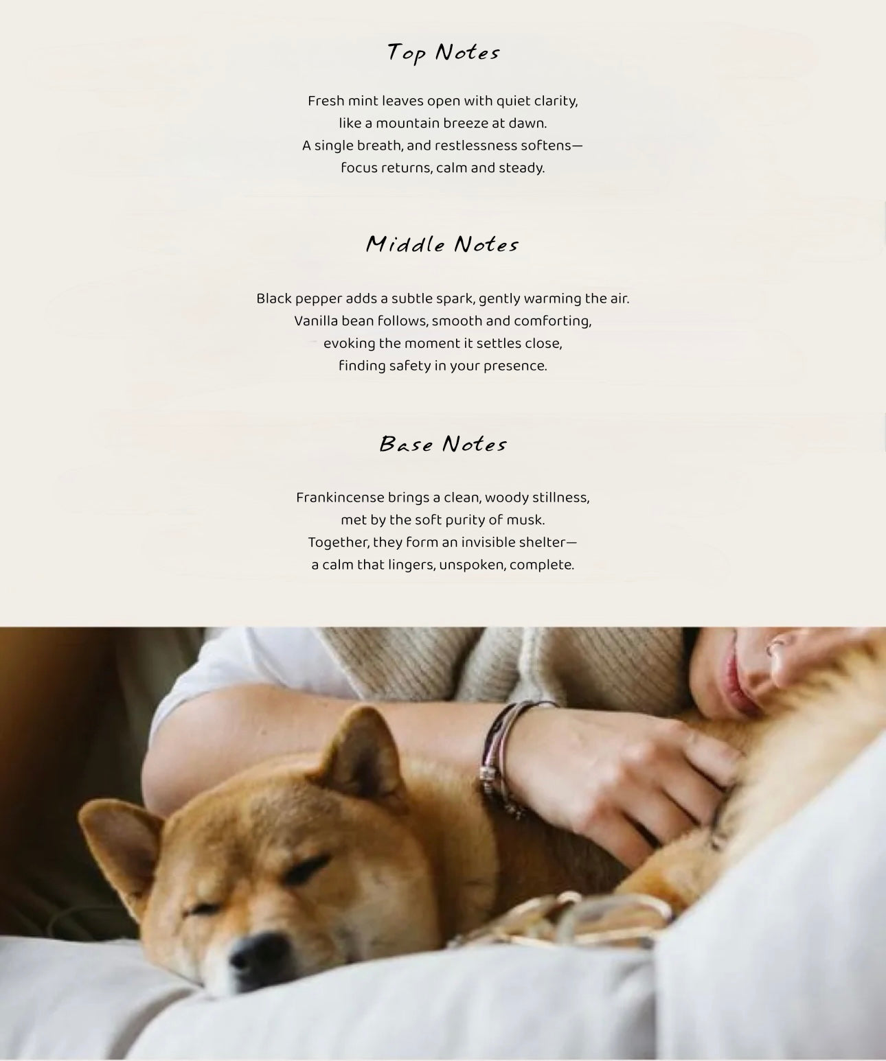Pet-Friendly Aroma Reed Diffuser | Nutshell & Honey Spice