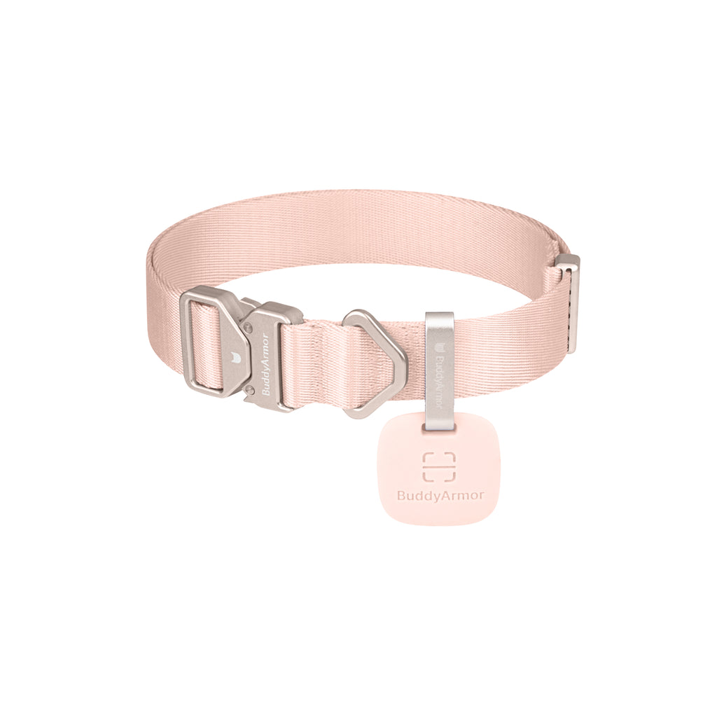 Light Alloy Dog Collar Pro + QR Code Tag