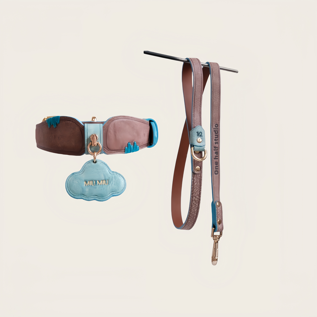 NUVO Walking Set | Personalised Collar & Leash