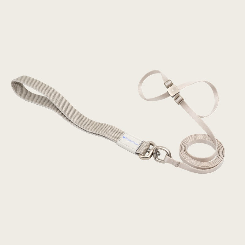 Escape-Proof Training Harness Leash