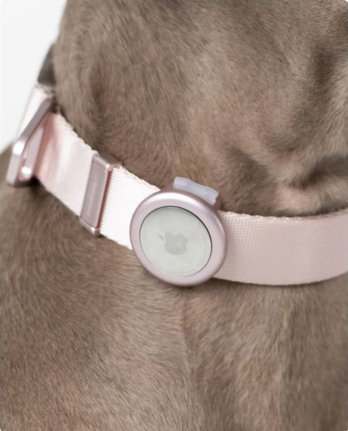Light Alloy Collar Pro + Airtag Holder