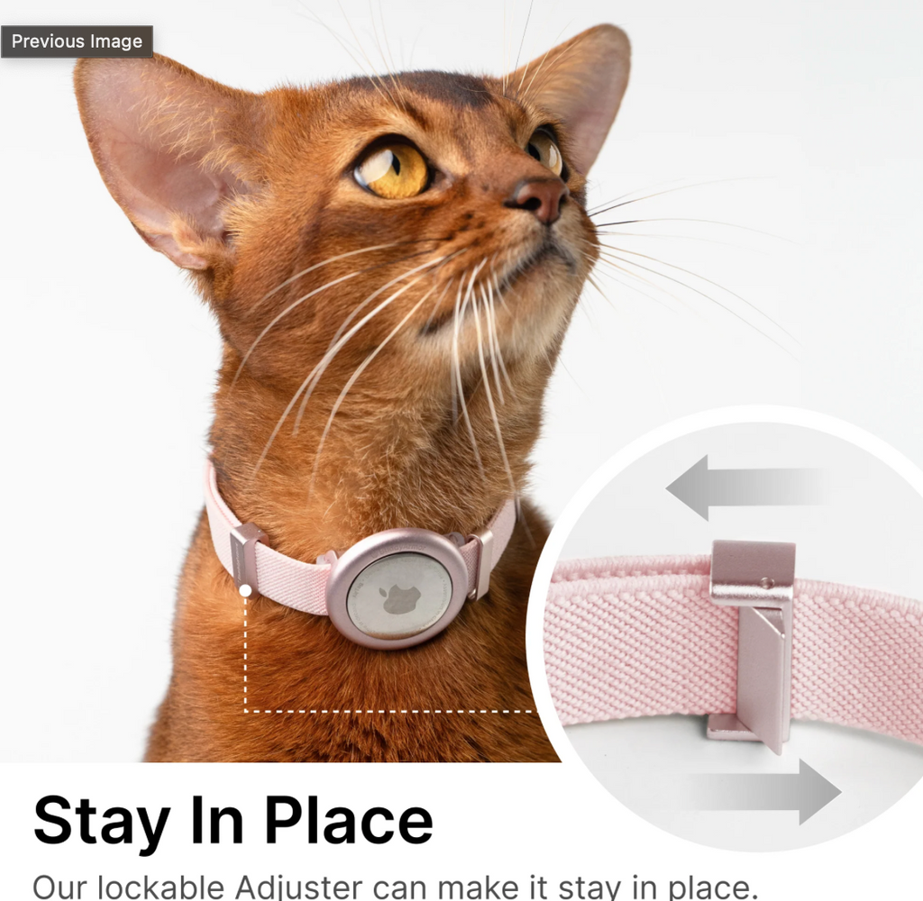 Safety Cat Collar Pro + AirTag Holder