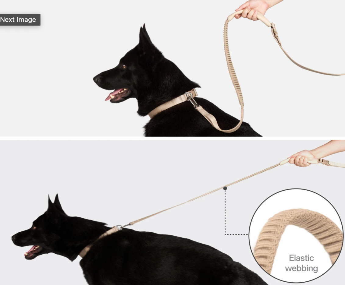 HANDS-FREE LEASH