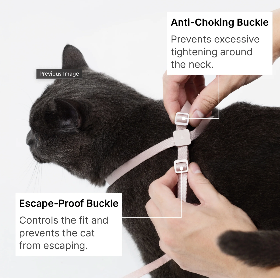 Escape-Proof Training Harness Leash
