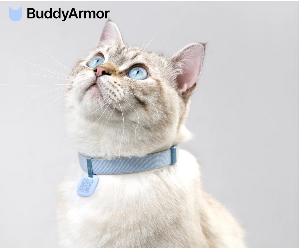 Anti-Lost QR Code Tag