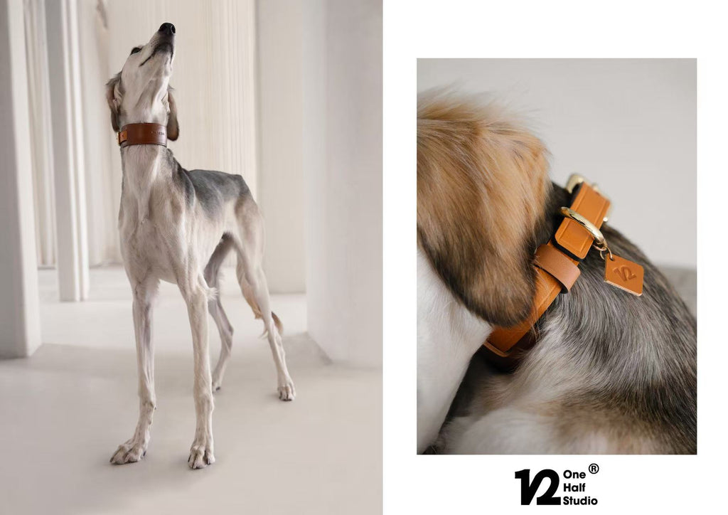 SPLITZ WALKING SET | Mocha | Handcrafted Premium Leather Collar + Leash + Waste Bag Holder