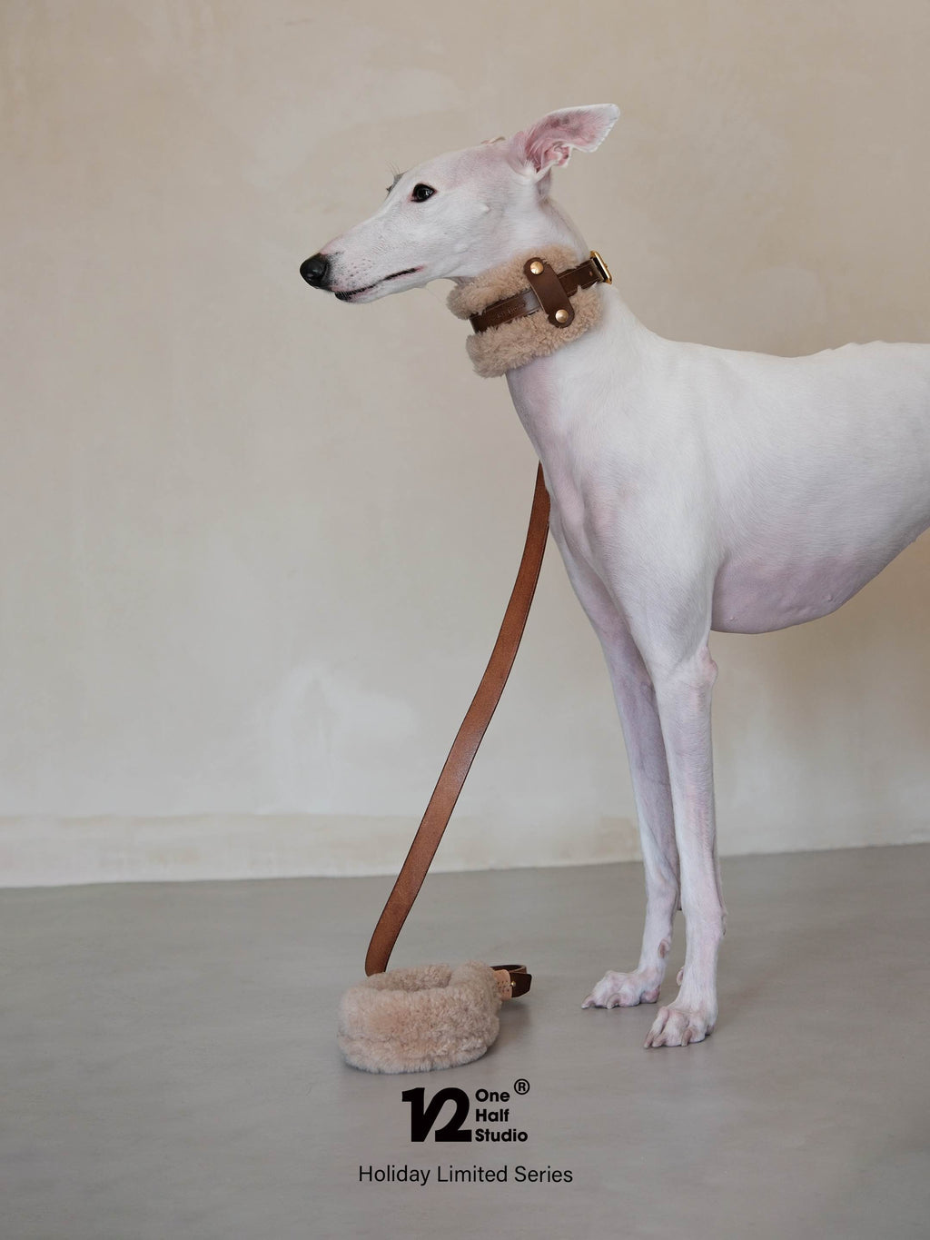 SPLITZ WALKING SET | PELUCHE | Handcrafted Premium Leather Collar + Leash + Waste Bag Holder