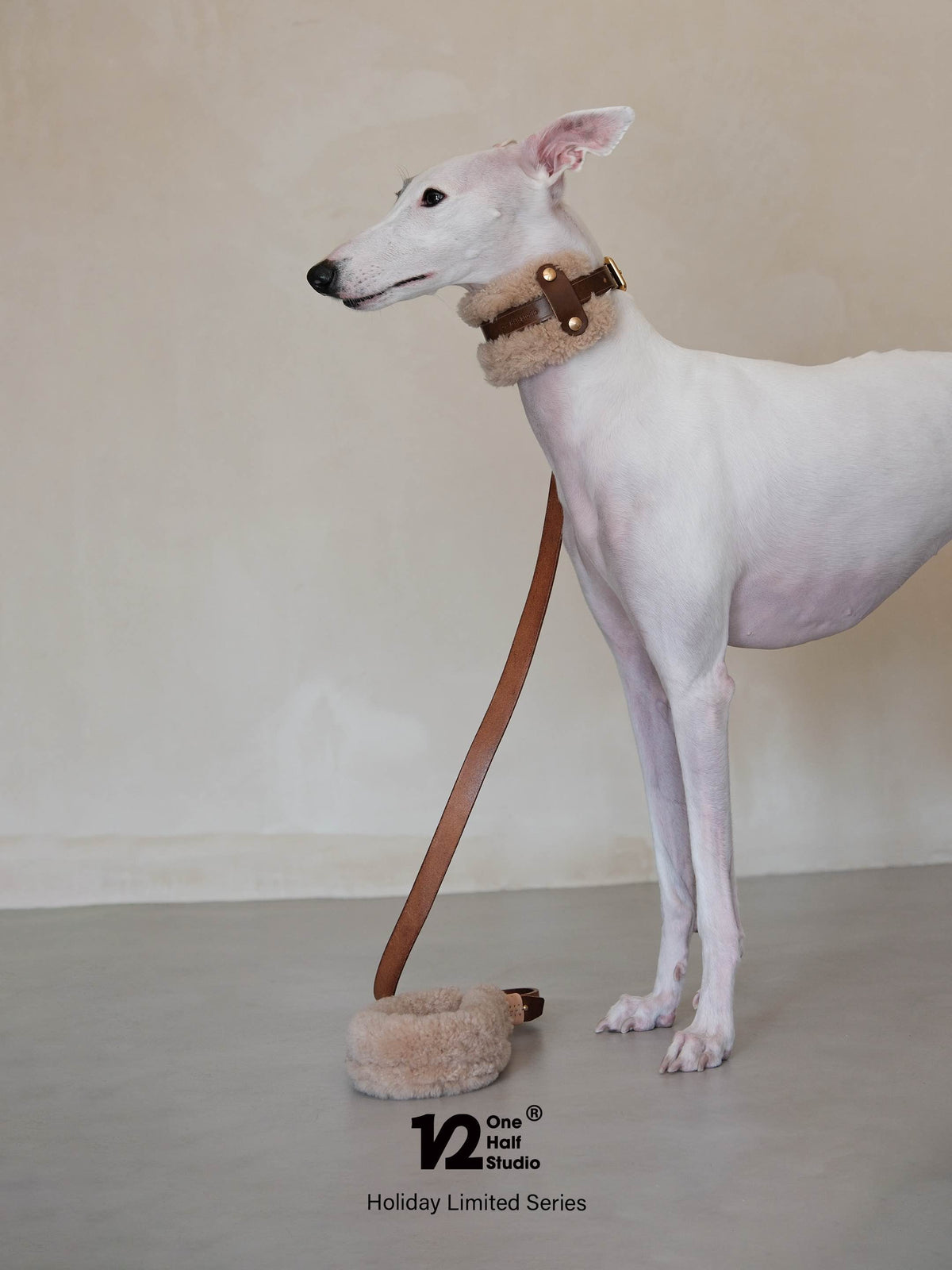 SPLITZ WALKING SET | PELUCHE | Handcrafted Premium Leather Collar + Leash + Waste Bag Holder