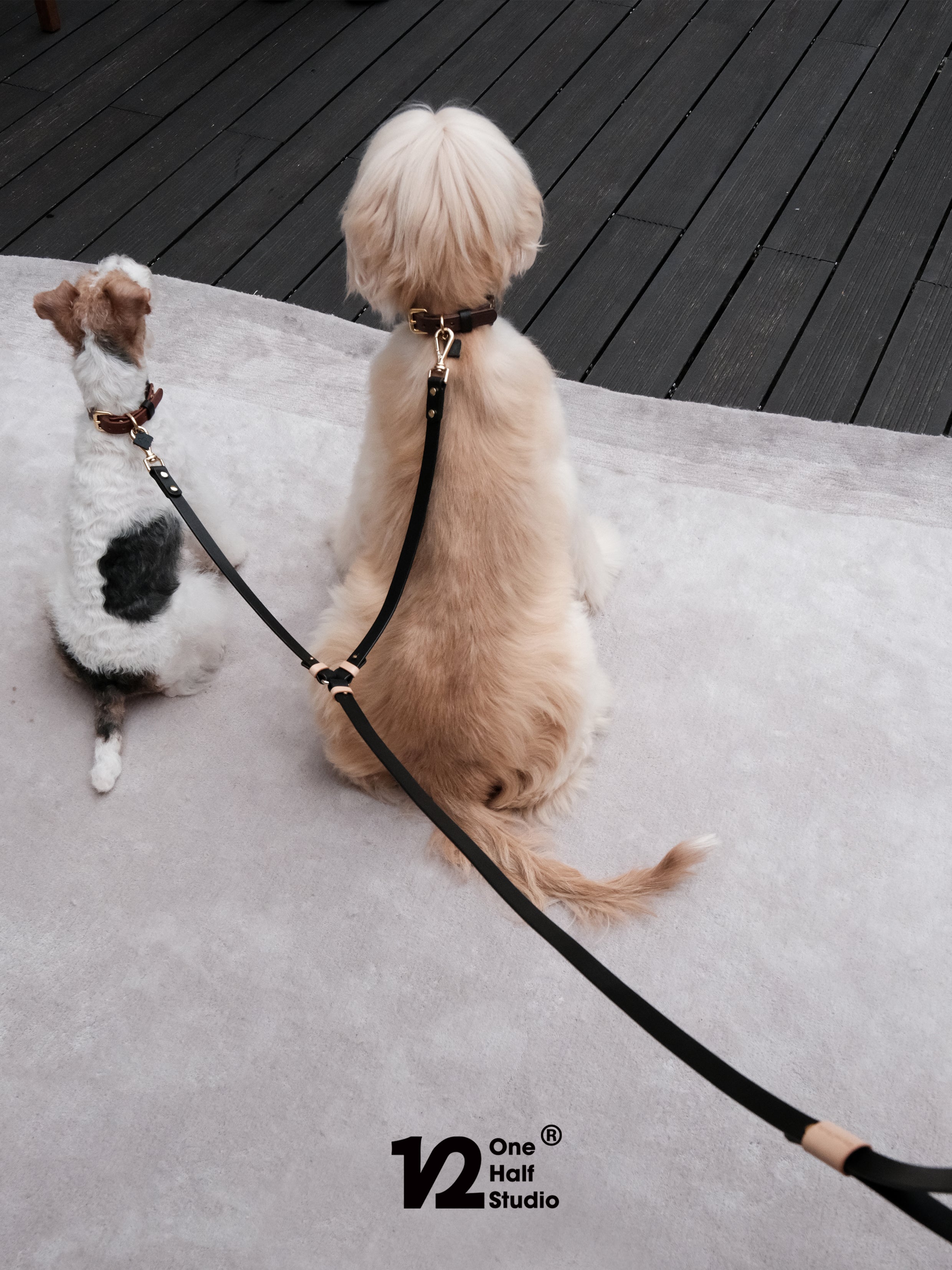 LE LIEN | DUO