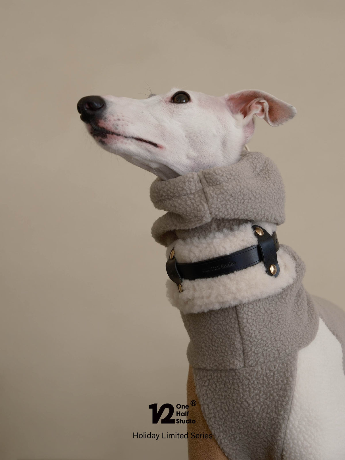 SPLITZ WALKING SET | PELUCHE | Handcrafted Premium Leather Collar + Leash + Waste Bag Holder