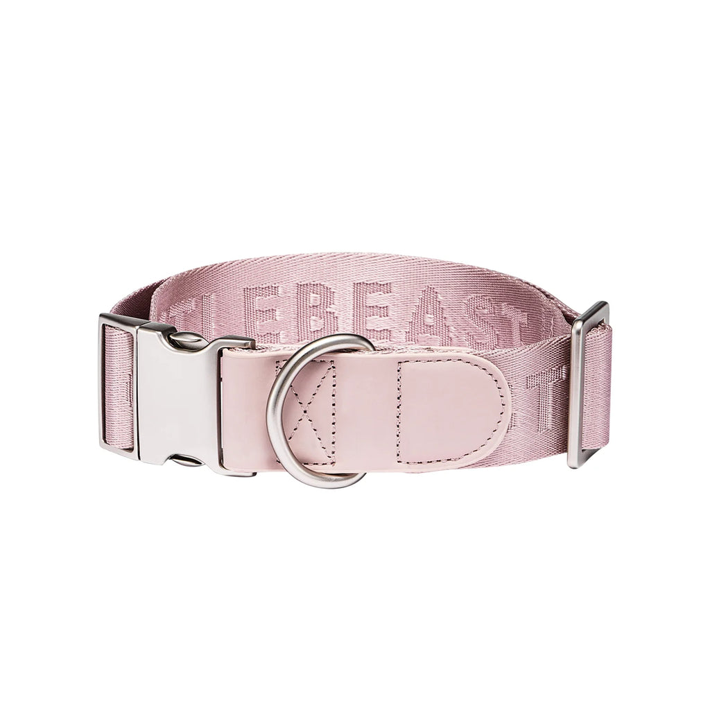 DAY-LIGHT | COLLAR XL