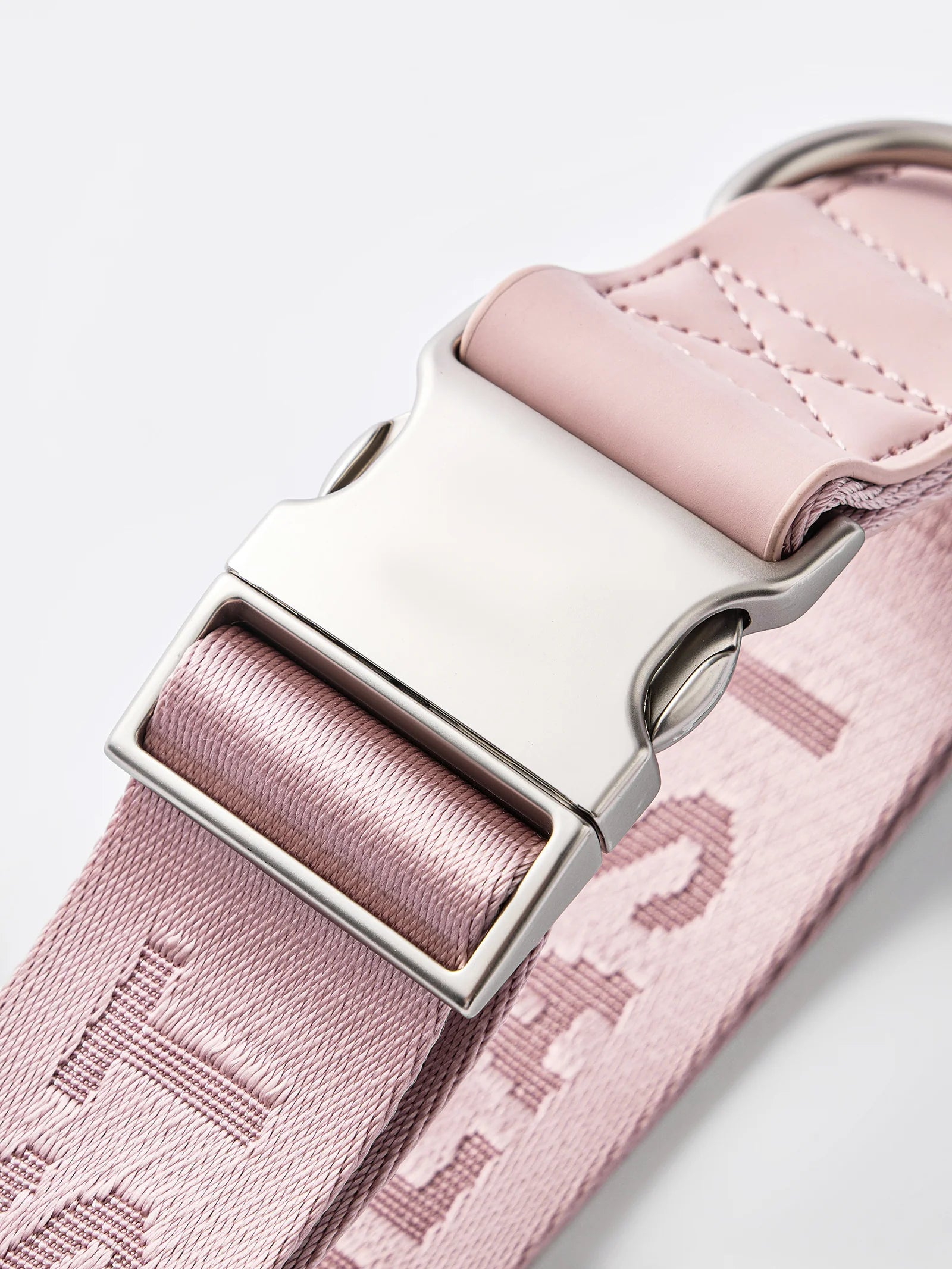 DAY-LIGHT | COLLAR XL