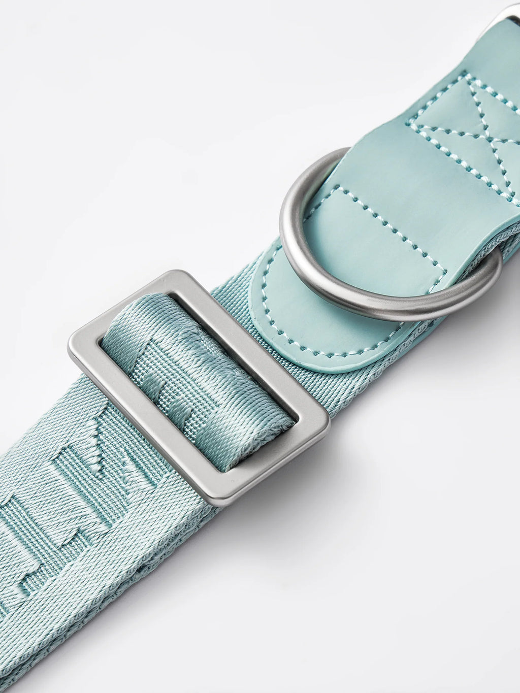 DAY-LIGHT | COLLAR XL