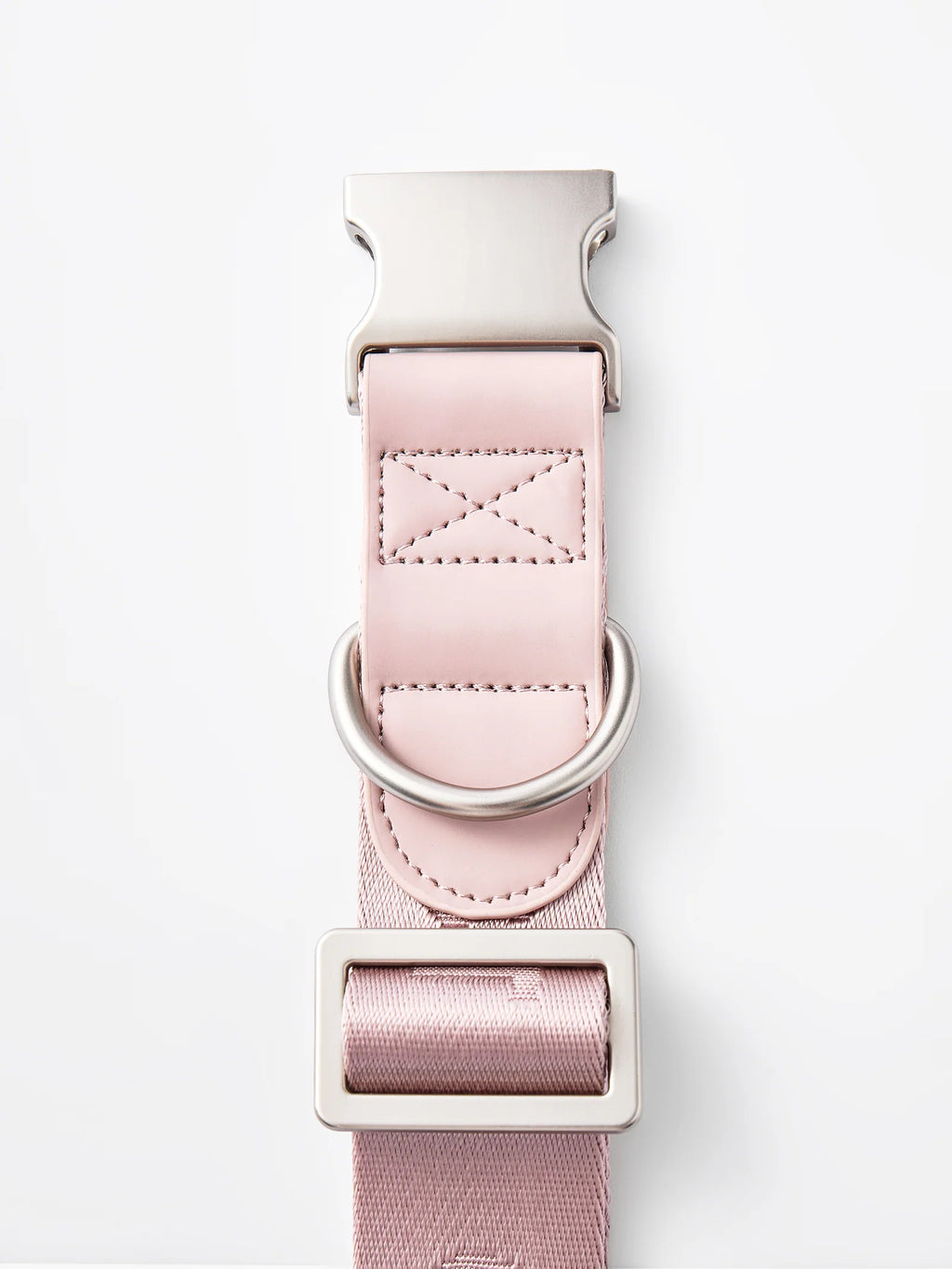 DAY-LIGHT | COLLAR XL