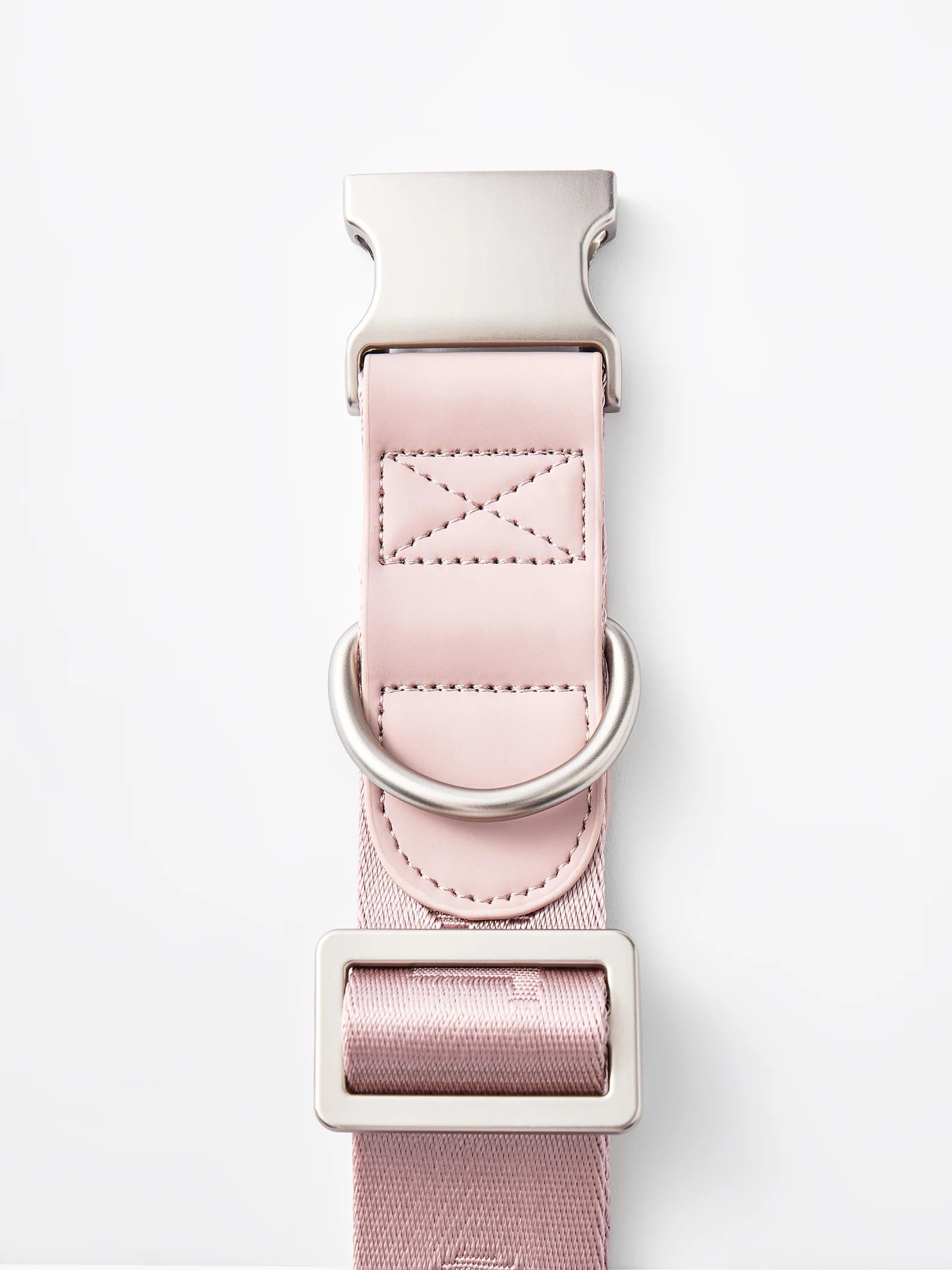 DAY-LIGHT | COLLAR XL