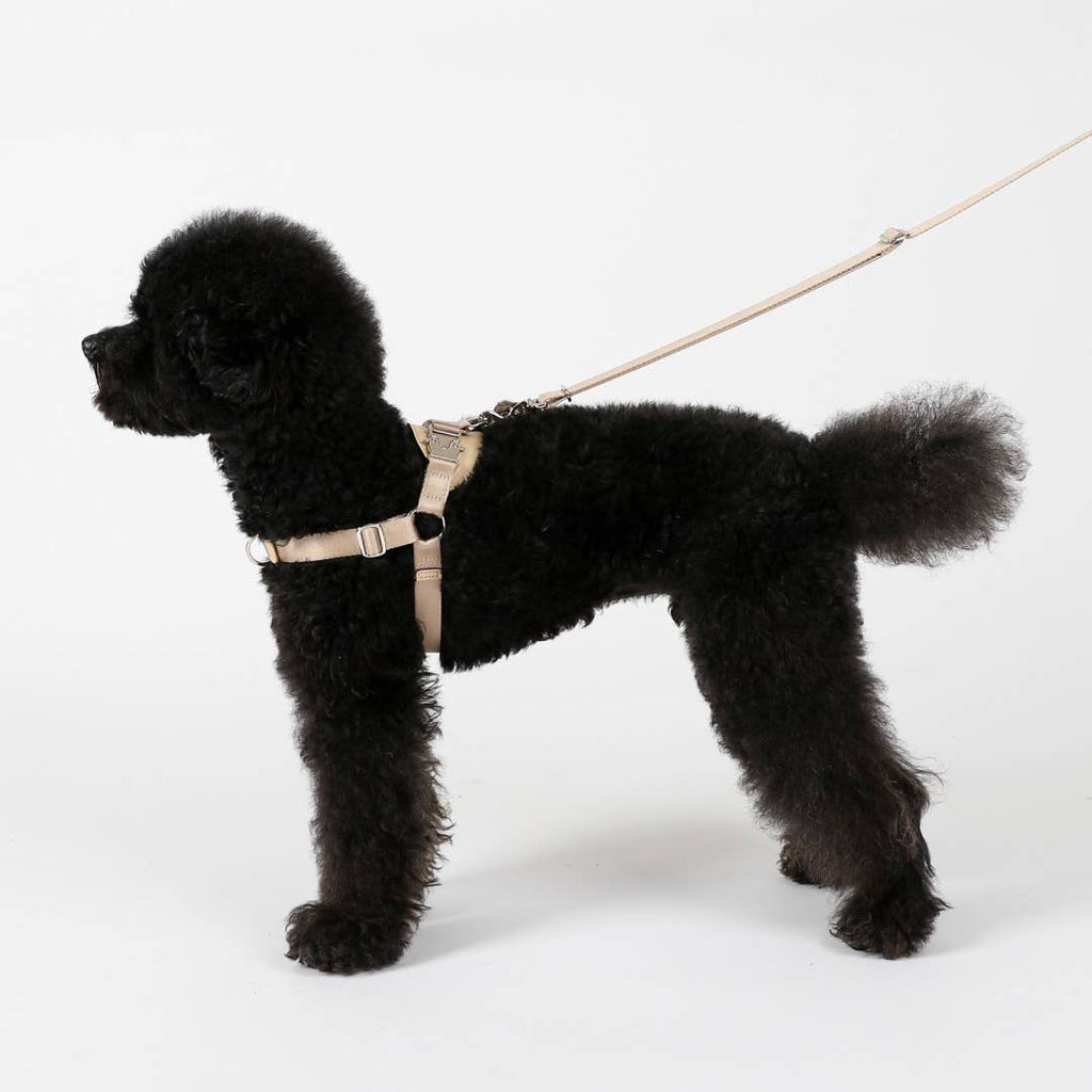 Horsebit Harness