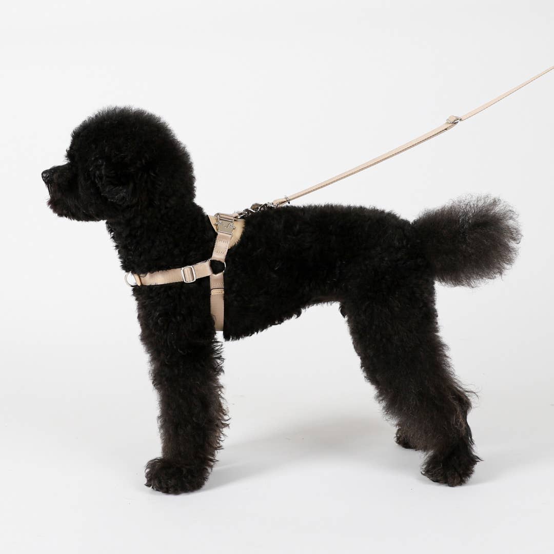 Horsebit Harness