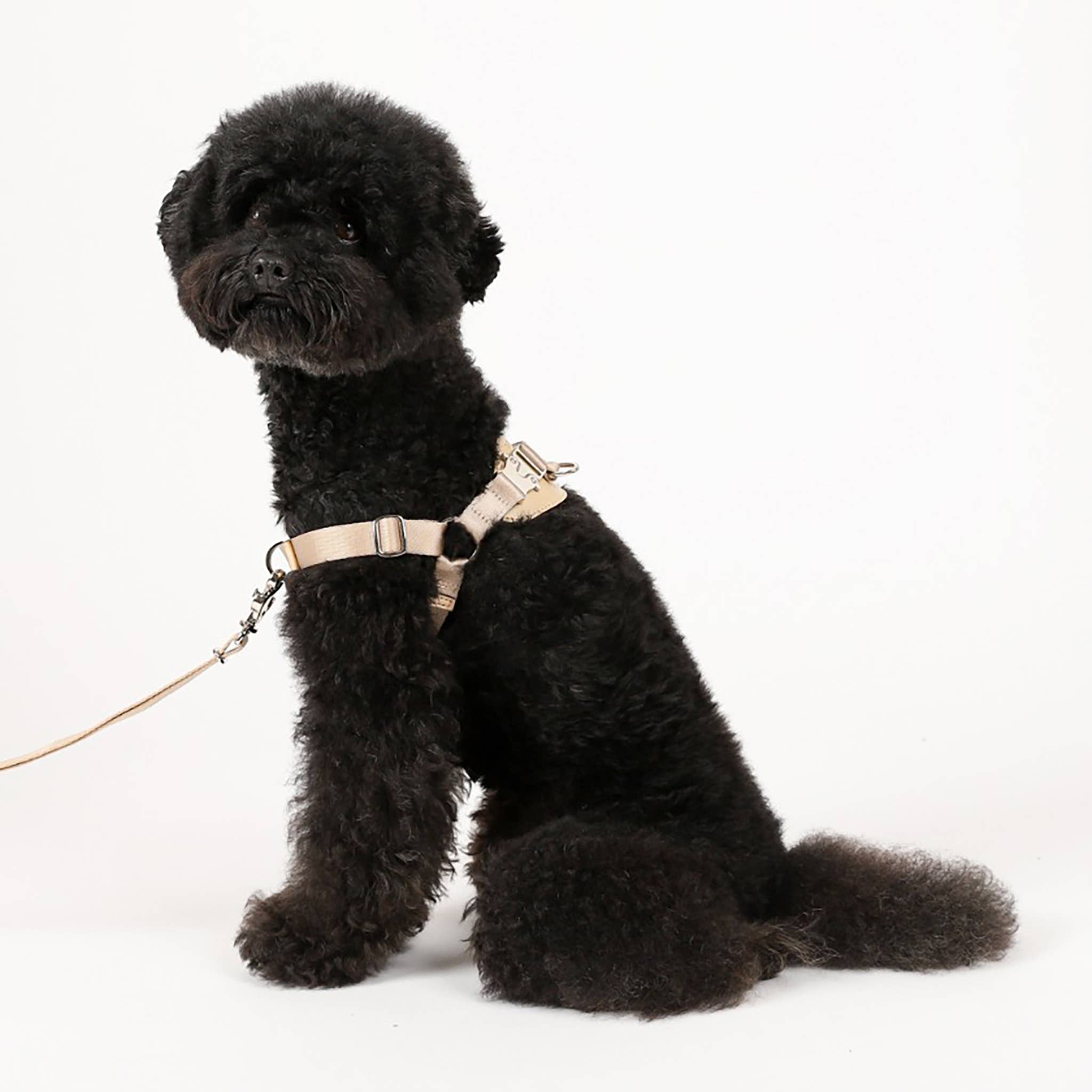 Horsebit Harness