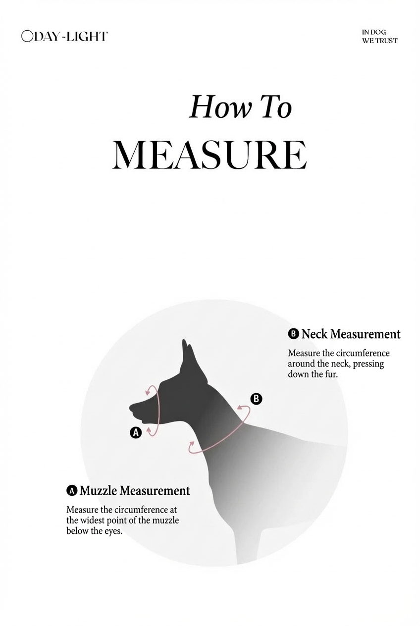 DAY-LIGHT | HEAD COLLAR