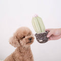 CACTUS // ENRICHMENT DOG TOY // Squeaky + DECO Toy